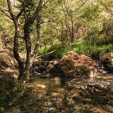 ファームステイ Il Laghello Wood House